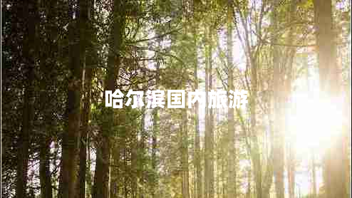 哈爾濱國內(nèi)旅游
