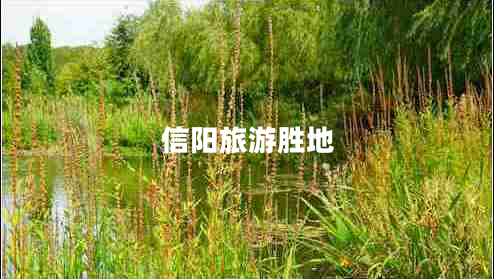 信陽旅游勝地