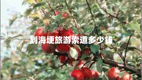 到海埂旅游索道多少錢