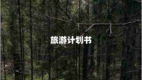 旅游計(jì)劃書(shū)