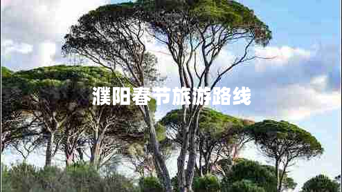 濮陽(yáng)春節(jié)旅游路線