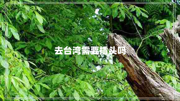 去臺(tái)灣需要插頭嗎