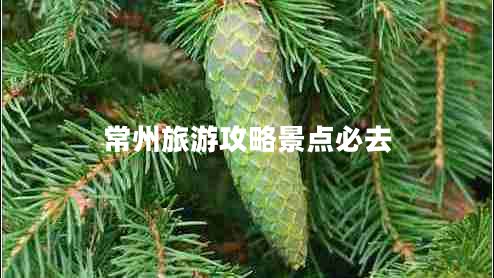 常州旅游攻略景點必去
