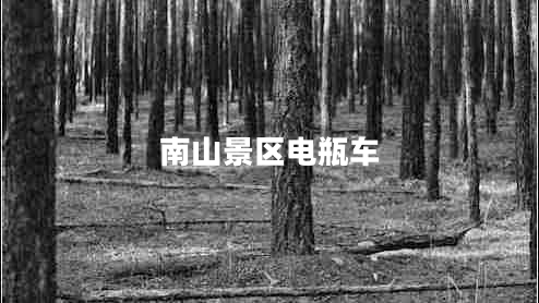 南山景區(qū)電瓶車(chē)