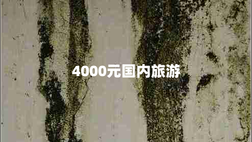 4000元國內(nèi)旅游