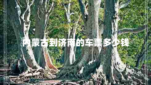 內(nèi)蒙古到濟(jì)南的車票多少錢