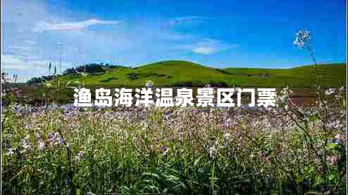 漁島海洋溫泉景區(qū)門票
