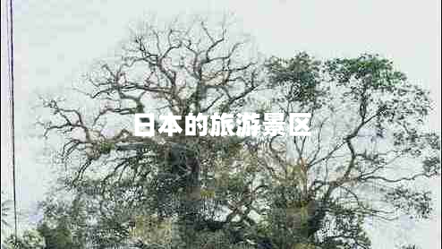 日本的旅游景區(qū)