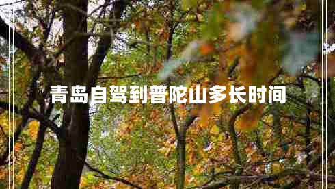 青島自駕到普陀山多長時間