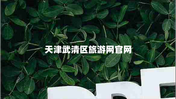 天津武清區(qū)旅游網(wǎng)官網(wǎng)