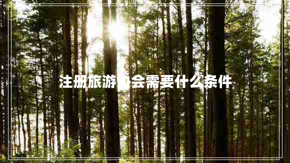 注冊(cè)旅游協(xié)會(huì)需要什么條件