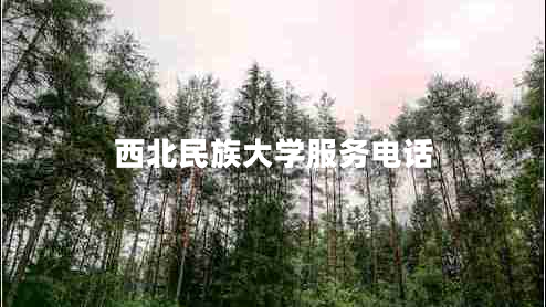 西北民族大學(xué)服務(wù)電話