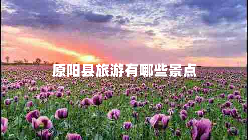 原陽縣旅游有哪些景點(diǎn)