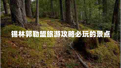 錫林郭勒盟旅游攻略必玩的景點