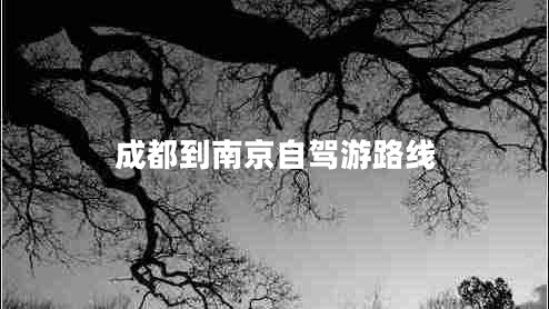 成都到南京自駕游路線