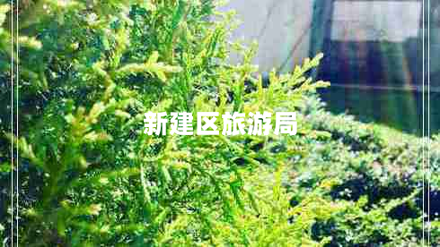 新建區(qū)旅游局
