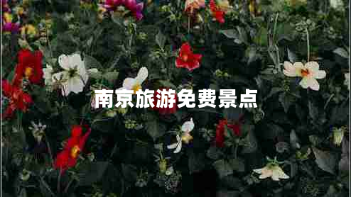 南京旅游免費景點