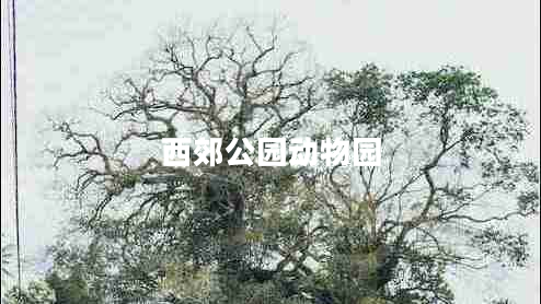 西郊公園動物園