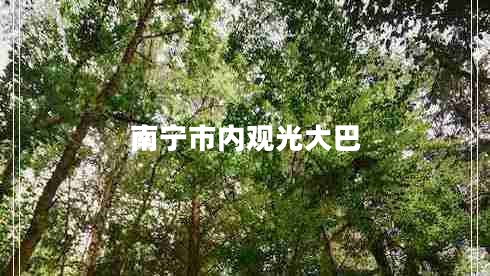 南寧市內(nèi)觀光大巴