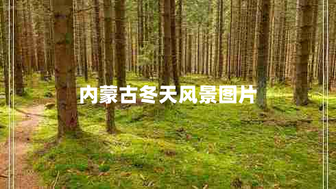 內(nèi)蒙古冬天風(fēng)景圖片