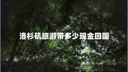 洛杉磯旅游帶多少現(xiàn)金回國(guó)