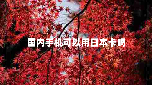 國內(nèi)手機(jī)可以用日本卡嗎
