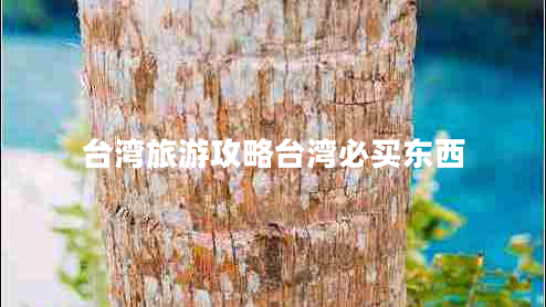 臺灣旅游攻略臺灣必買東西