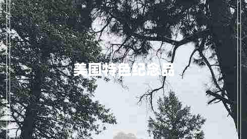 美國特色紀念品