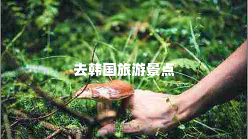 去韓國旅游景點