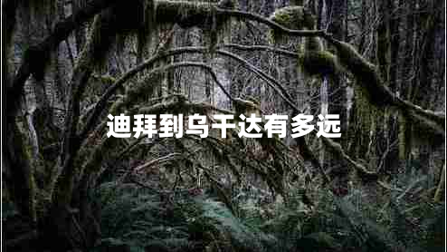 迪拜到烏干達(dá)有多遠(yuǎn)