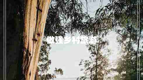 做強鄉(xiāng)村旅游