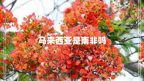 馬來西亞是南非嗎