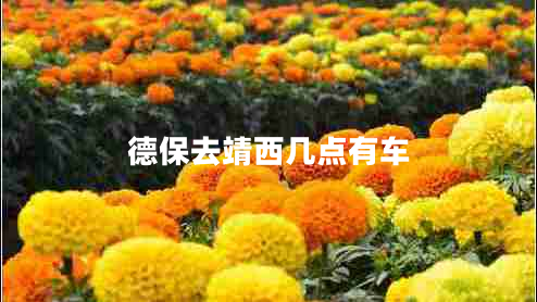 德保去靖西幾點有車