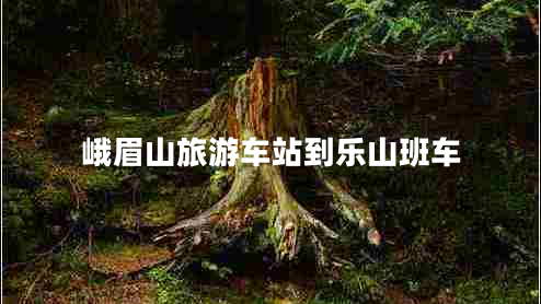 峨眉山旅游車(chē)站到樂(lè)山班車(chē)