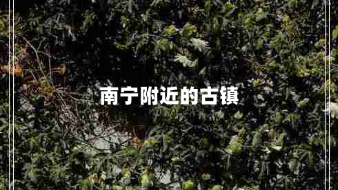 南寧附近的古鎮(zhèn)
