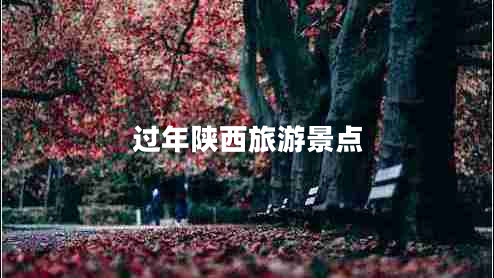 過年陜西旅游景點