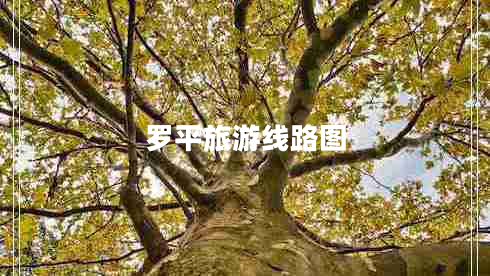 羅平旅游線路圖