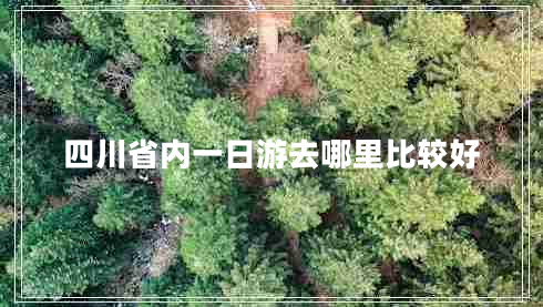 四川省內(nèi)一日游去哪里比較好