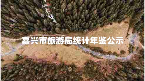 嘉興市旅游局統(tǒng)計(jì)年鑒公示