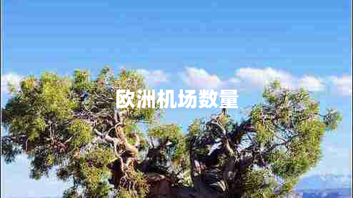 歐洲機(jī)場(chǎng)數(shù)量