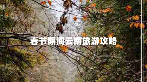 春節(jié)期間云南旅游攻略