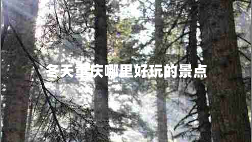 冬天重慶哪里好玩的景點