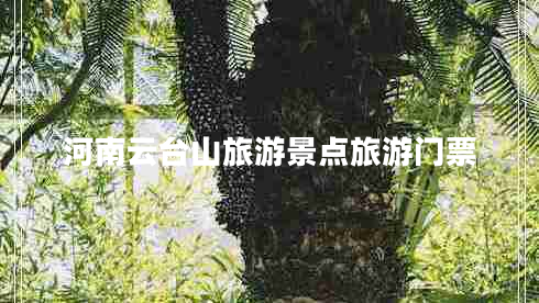 河南云臺(tái)山旅游景點(diǎn)旅游門(mén)票