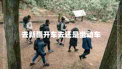 去新疆開車去還是坐動(dòng)車