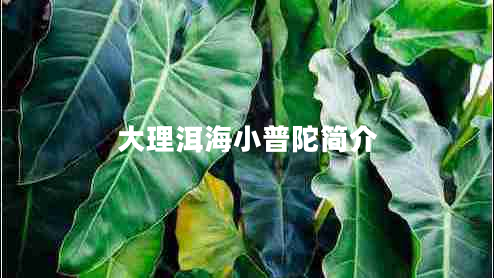 大理洱海小普陀簡介