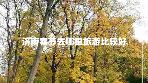 濟(jì)南春節(jié)去哪里旅游比較好