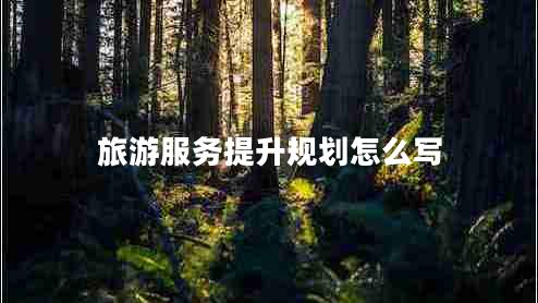 旅游服務(wù)提升規(guī)劃怎么寫