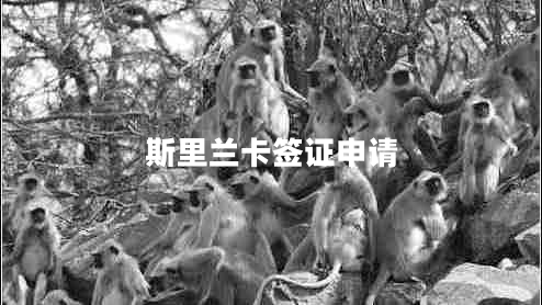 斯里蘭卡簽證申請(qǐng)