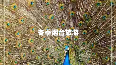 冬季煙臺(tái)旅游