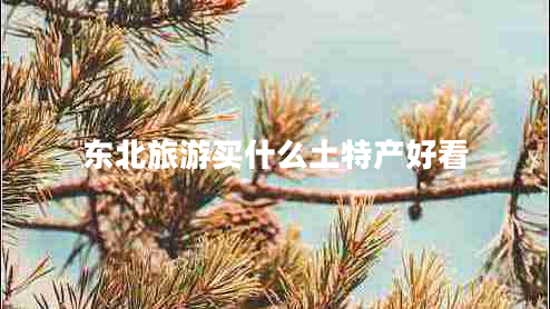東北旅游買什么土特產(chǎn)好看